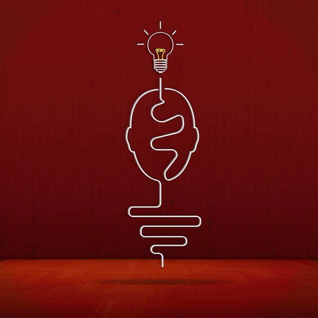 Graphic Design Courses Kerala